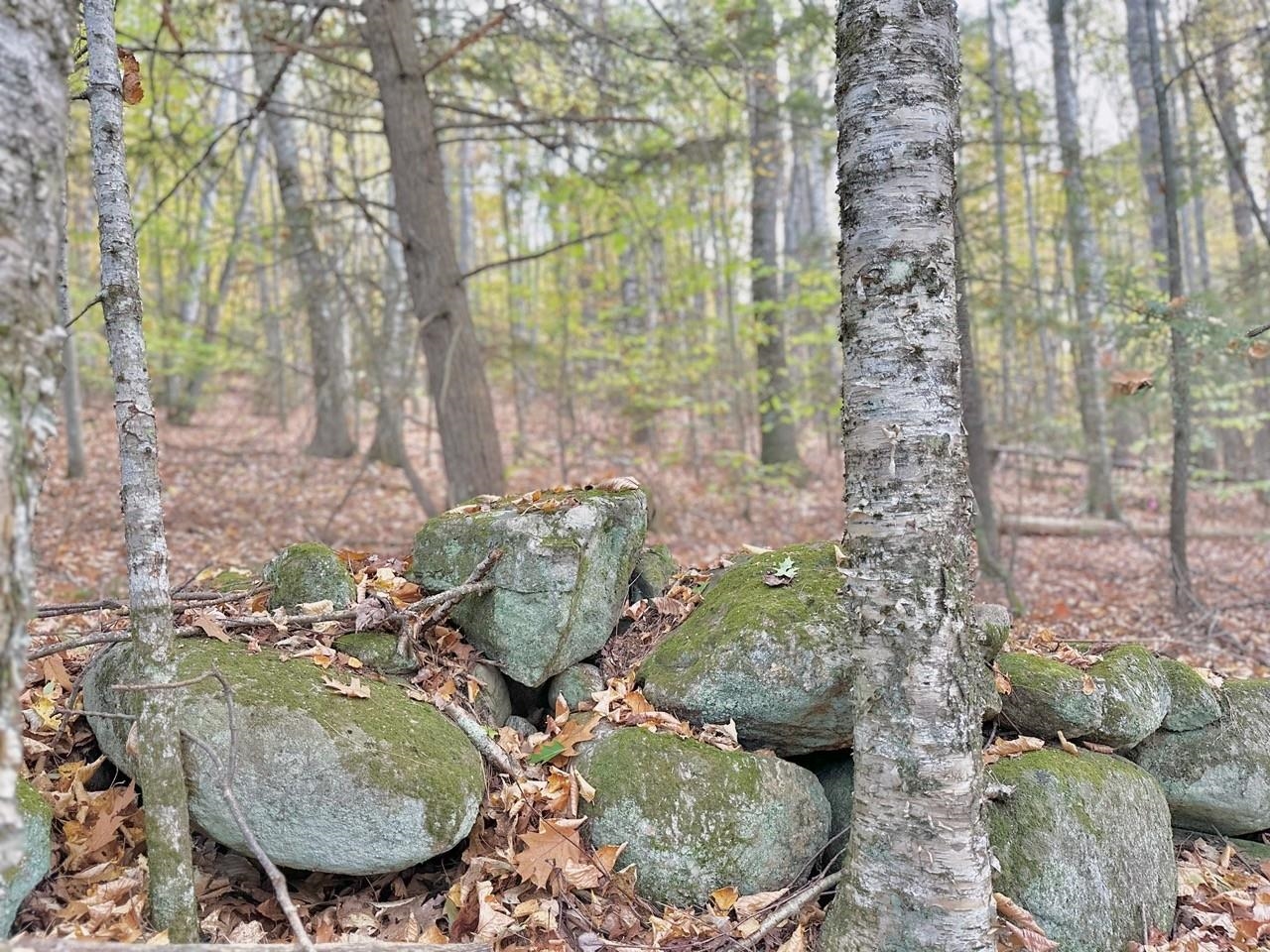 C100 Hodgeman Hill Road Campton, NH 03223 - Photo 10 of 15