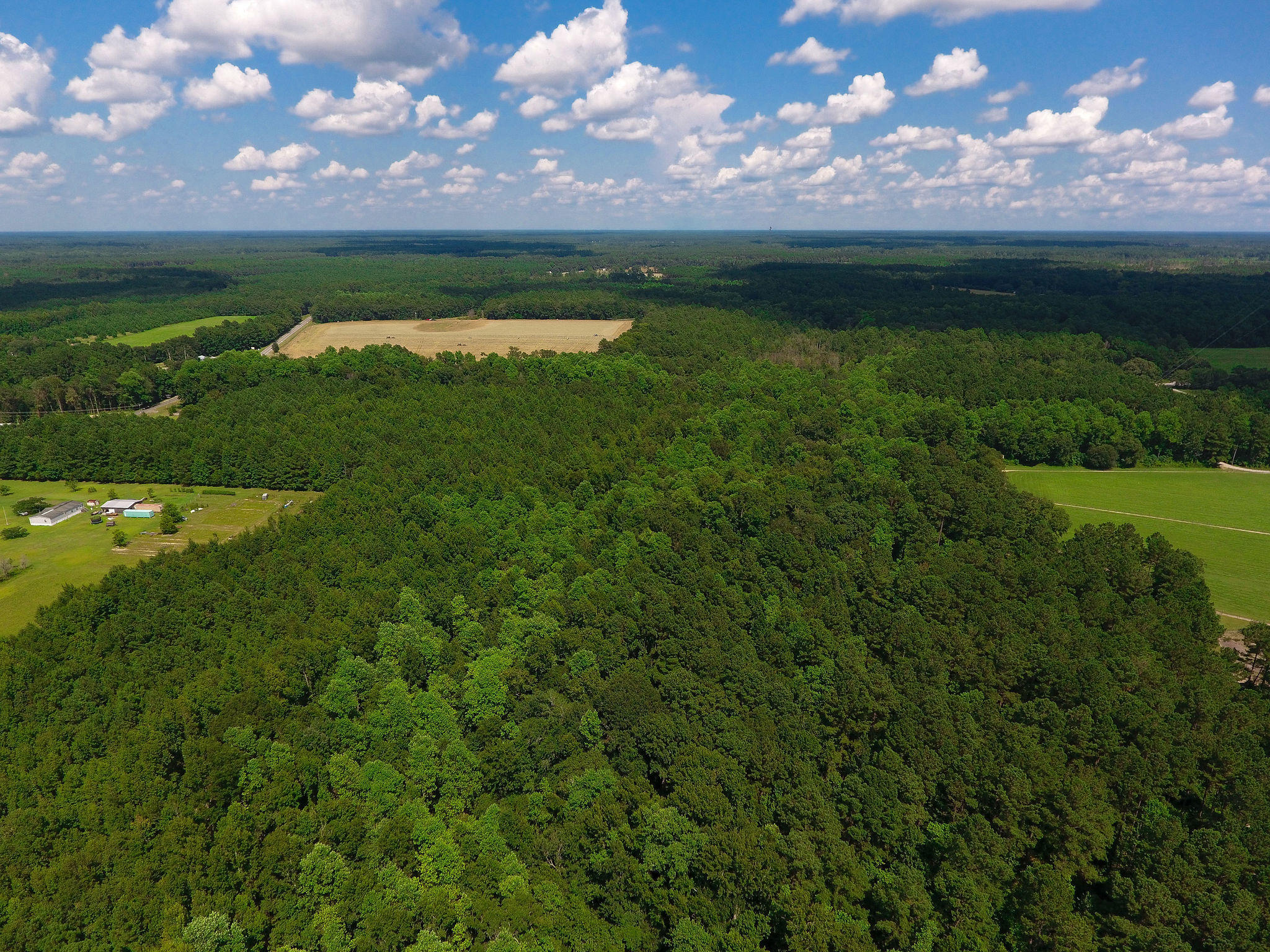 1000 Sniders Highway Ruffin, SC 29475 - Photo 1 of 10 DJI_0003