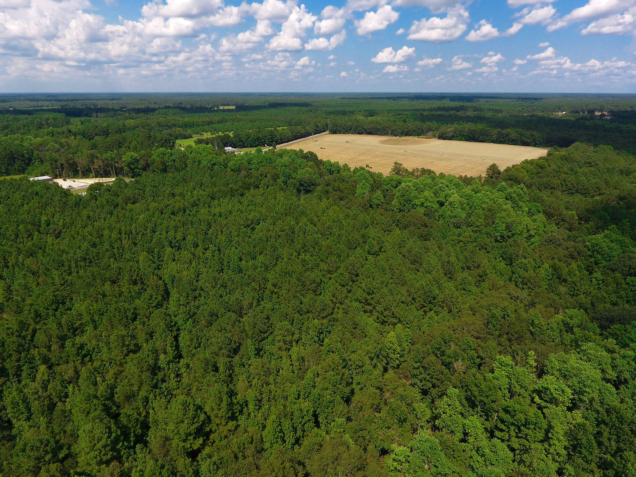 1000 Sniders Highway Ruffin, SC 29475 - Photo 3 of 10 DJI_0006