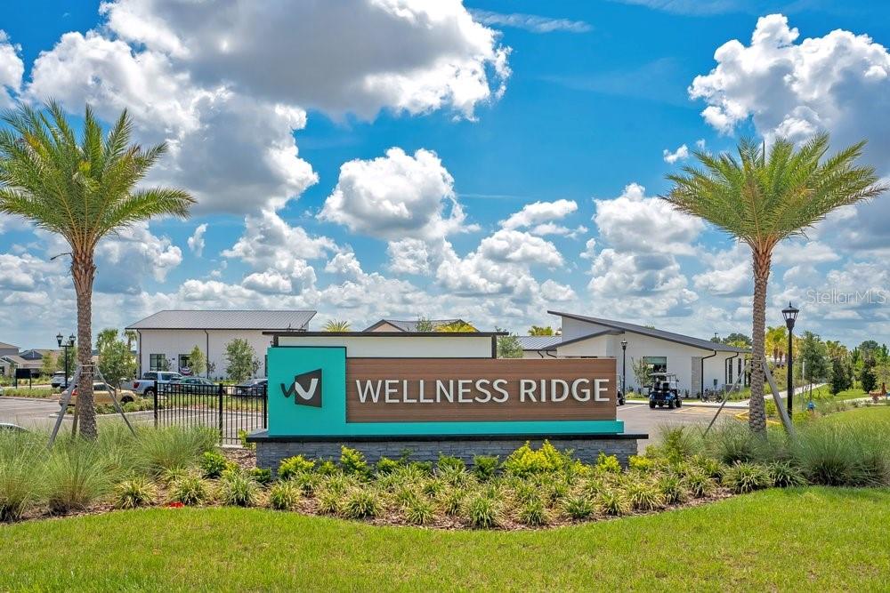 6176 Shavasana Road Clermont, FL 34714 - Photo 39 of 66