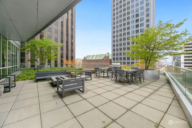 a view of a terrace with chairs and a potted plant