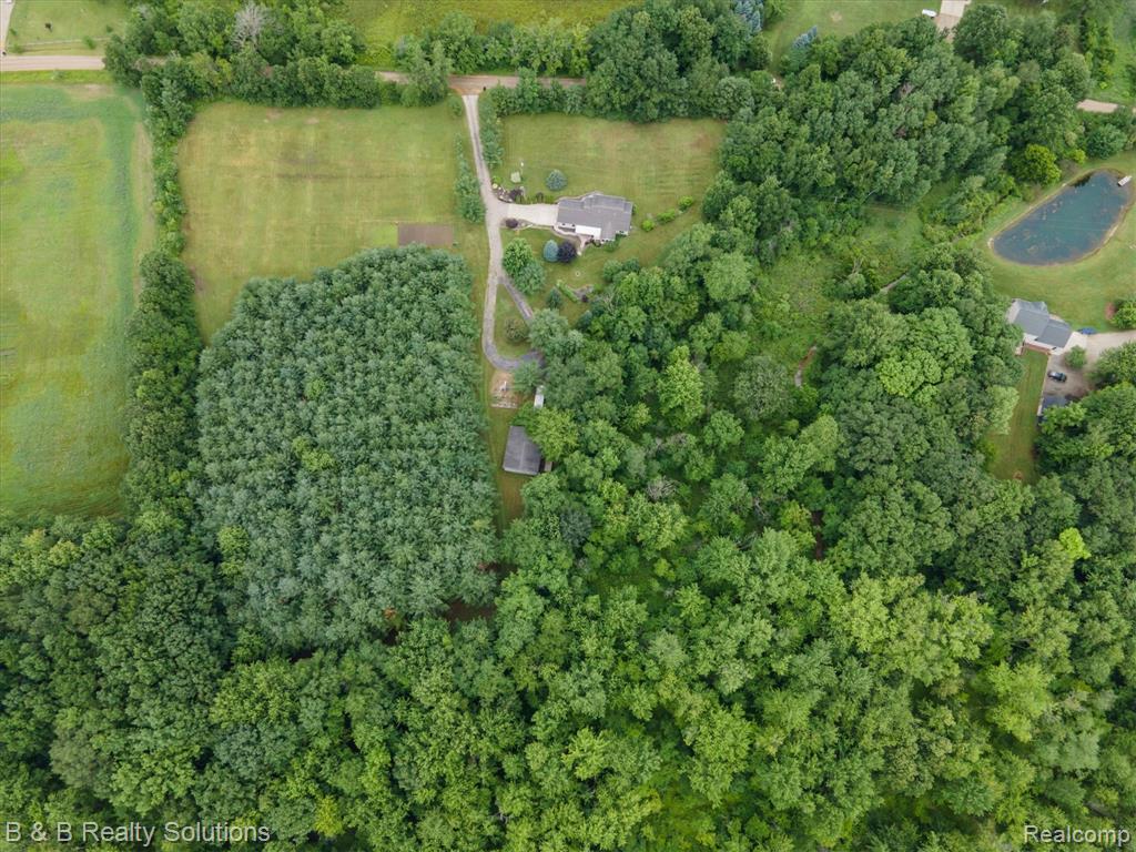 2264 Dodds Road North Branch, MI 48461 - Photo 47 of 57