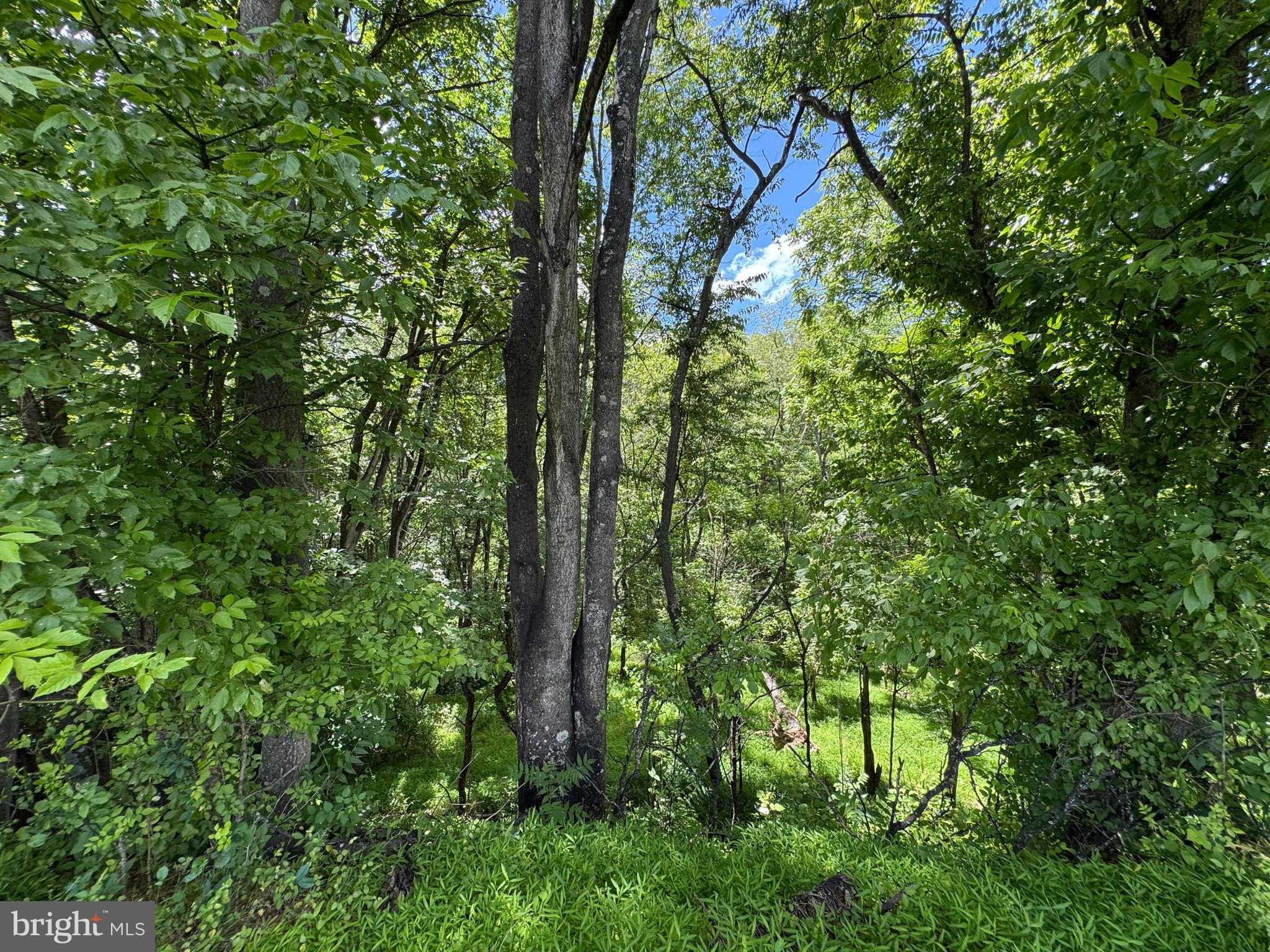 Sand Mine Road, Unit 9 Berkeley Springs, WV 25411 - Photo 8 of 17