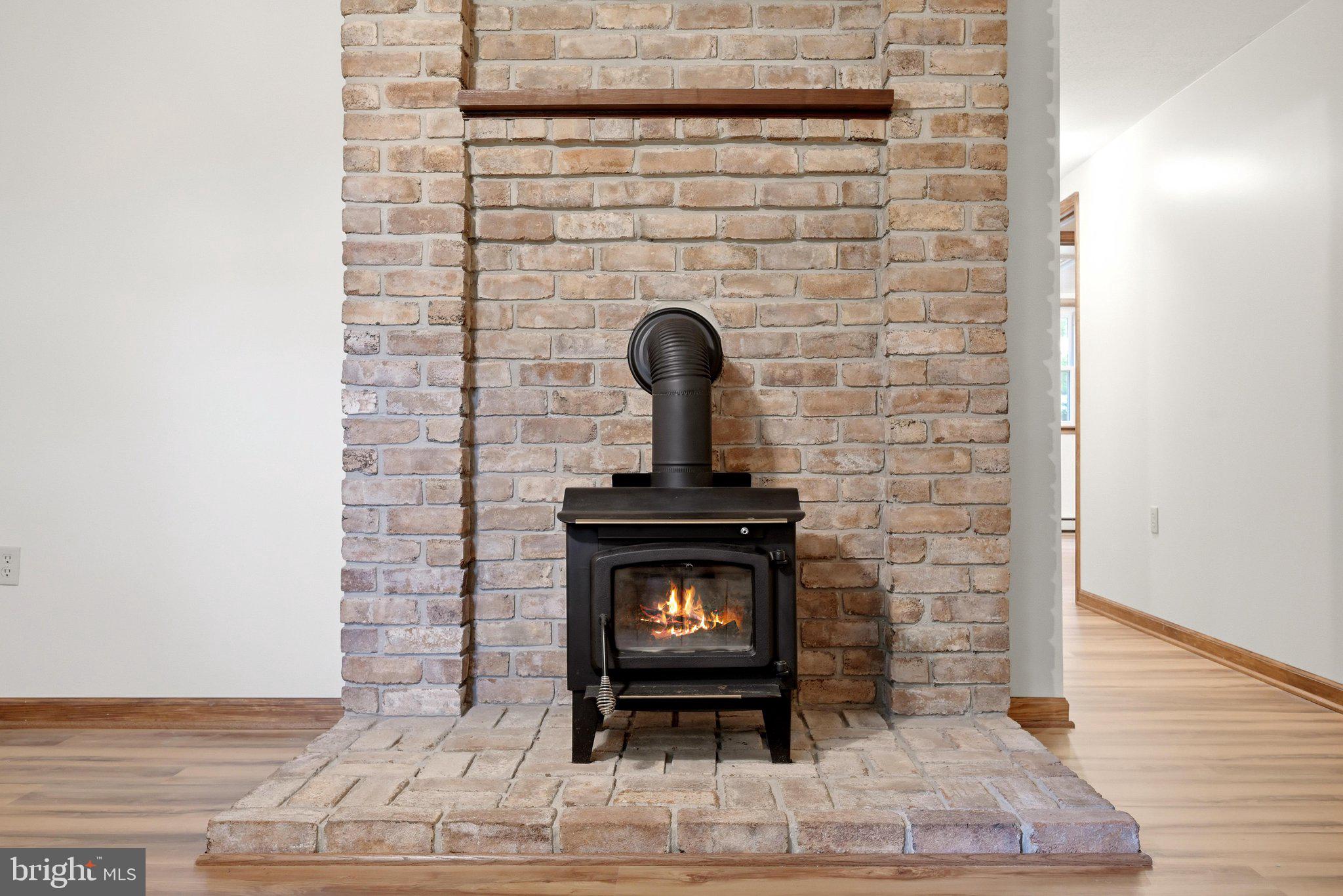 146 Stonebrook Road Winchester, VA 22602 - Photo 45 of 90 Fireplace