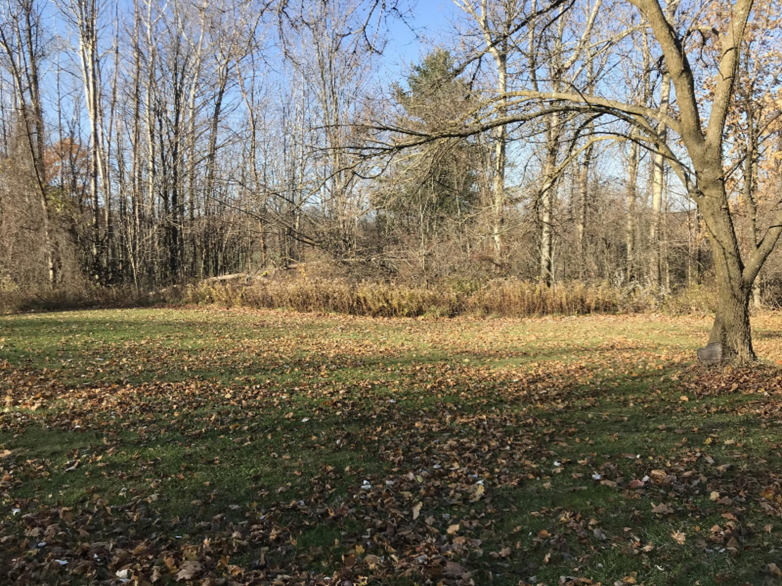 1366 North Stone Road Hesperia, MI 49421 - Photo 22 of 24 IMG_4768
