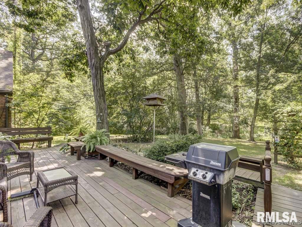 6 Harlan Court Springfield, IL 62712 - Photo 28 of 36 Gallery Image 28