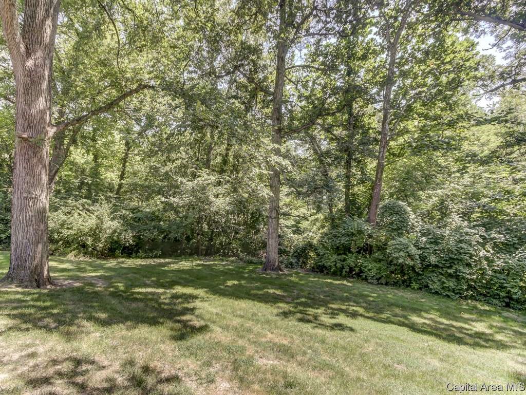6 Harlan Court Springfield, IL 62712 - Photo 31 of 36 Gallery Image 31
