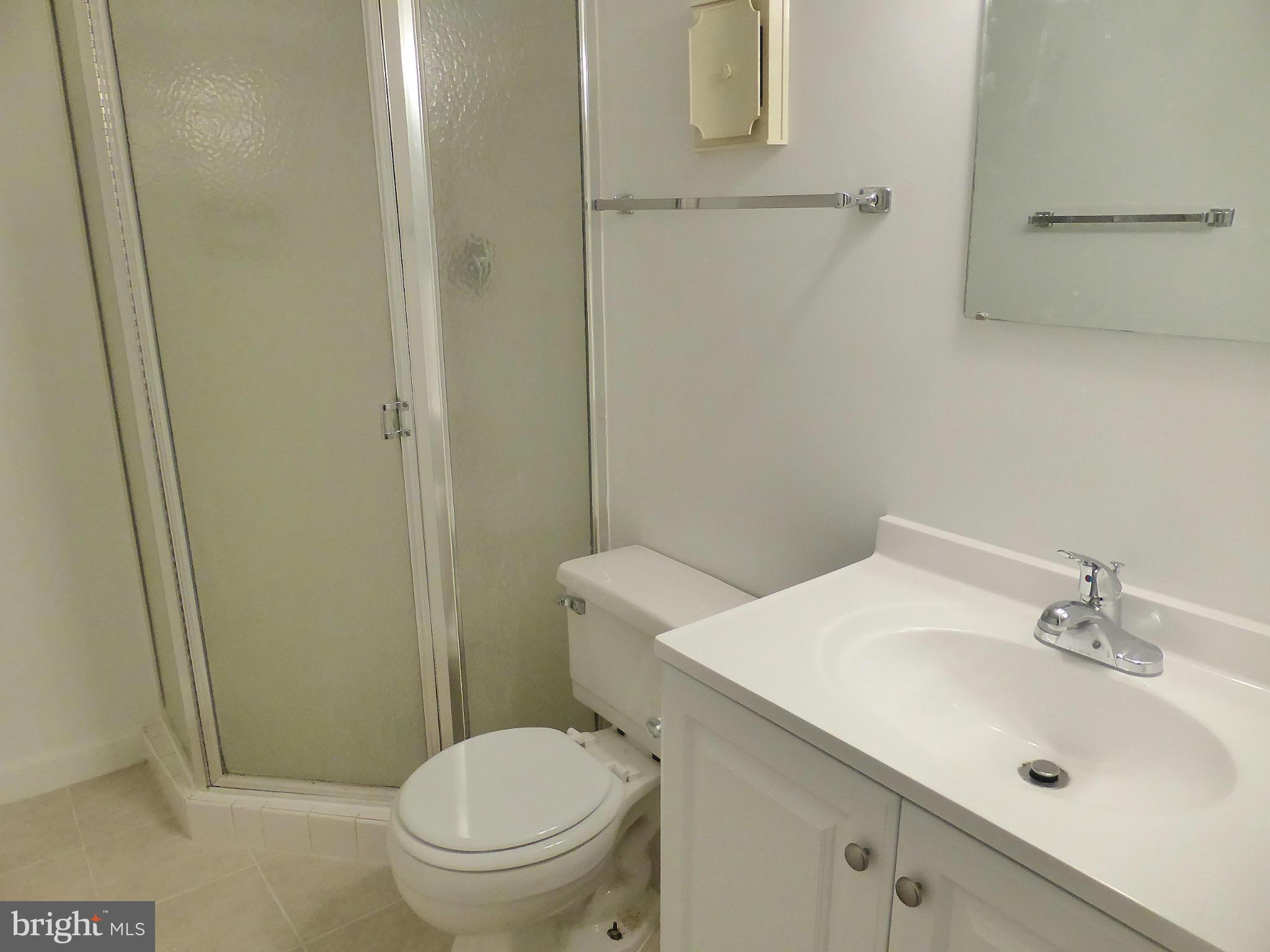 2916 South Buchanan Street, Unit A2 Arlington, VA 22206 - Photo 14 of 19 a bathroom with a sink a toilet and shower