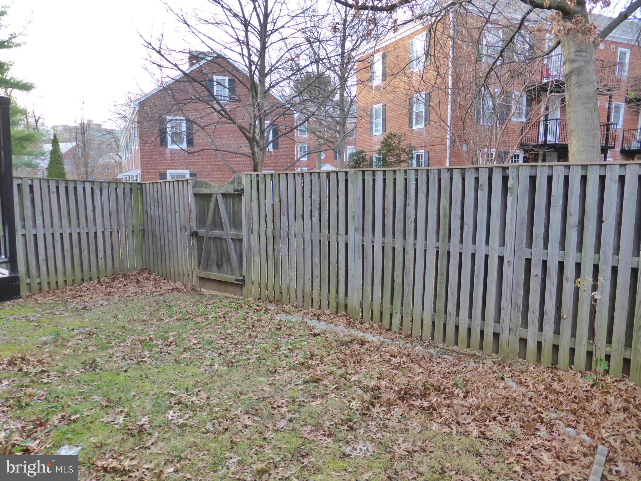 2916 South Buchanan Street, Unit A2 Arlington, VA 22206 - Photo 19 of 19 a backyard of a house with a large tree