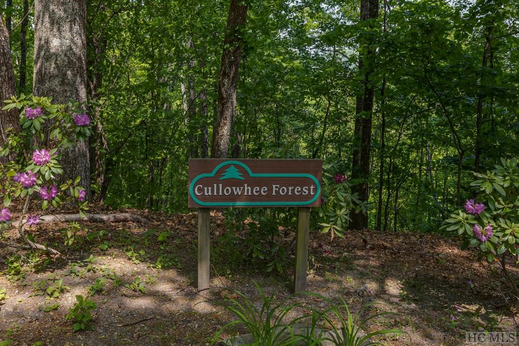 31 Red Maple Road Cullowhee, NC 28723 - Photo 15 of 57 Gallery Image 15