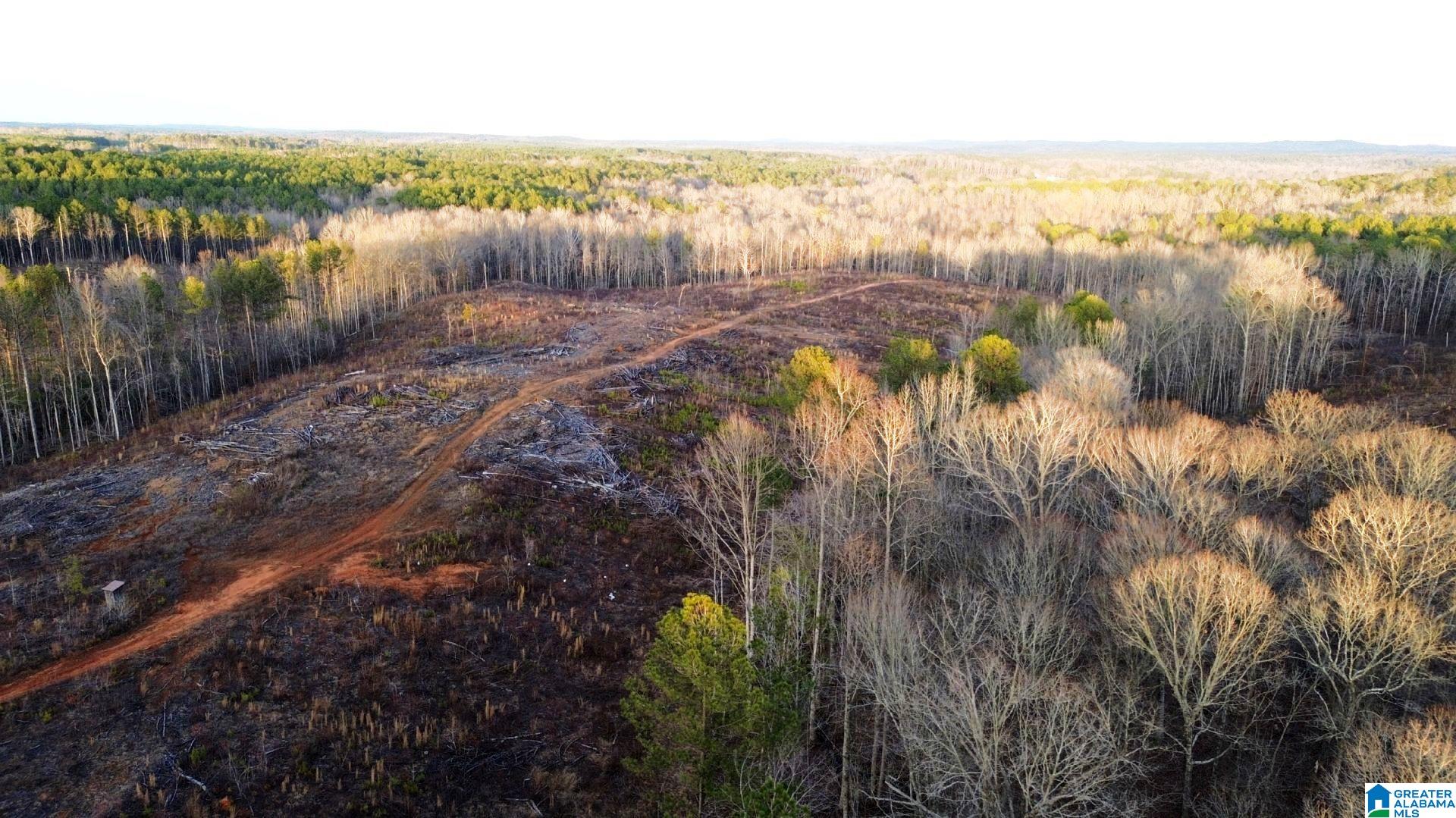 Walker Road, Unit 103 5 Lineville, AL 36266 - Photo 19 of 26