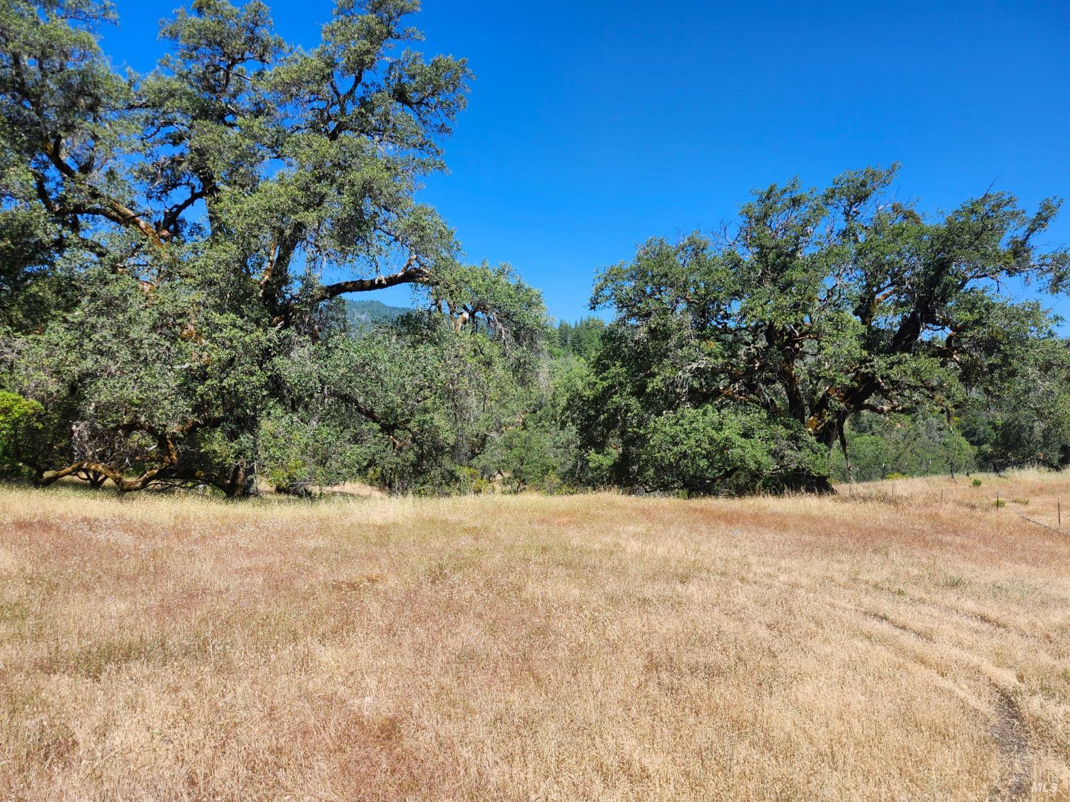 22551 Rifle Range Road Covelo, CA 95428 - Photo 11 of 24