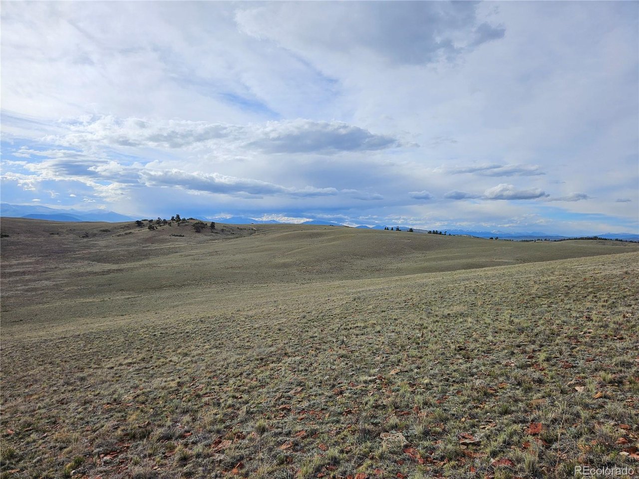 24139 Antero Road Hartsel, CO 80449 - Photo 10 of 35