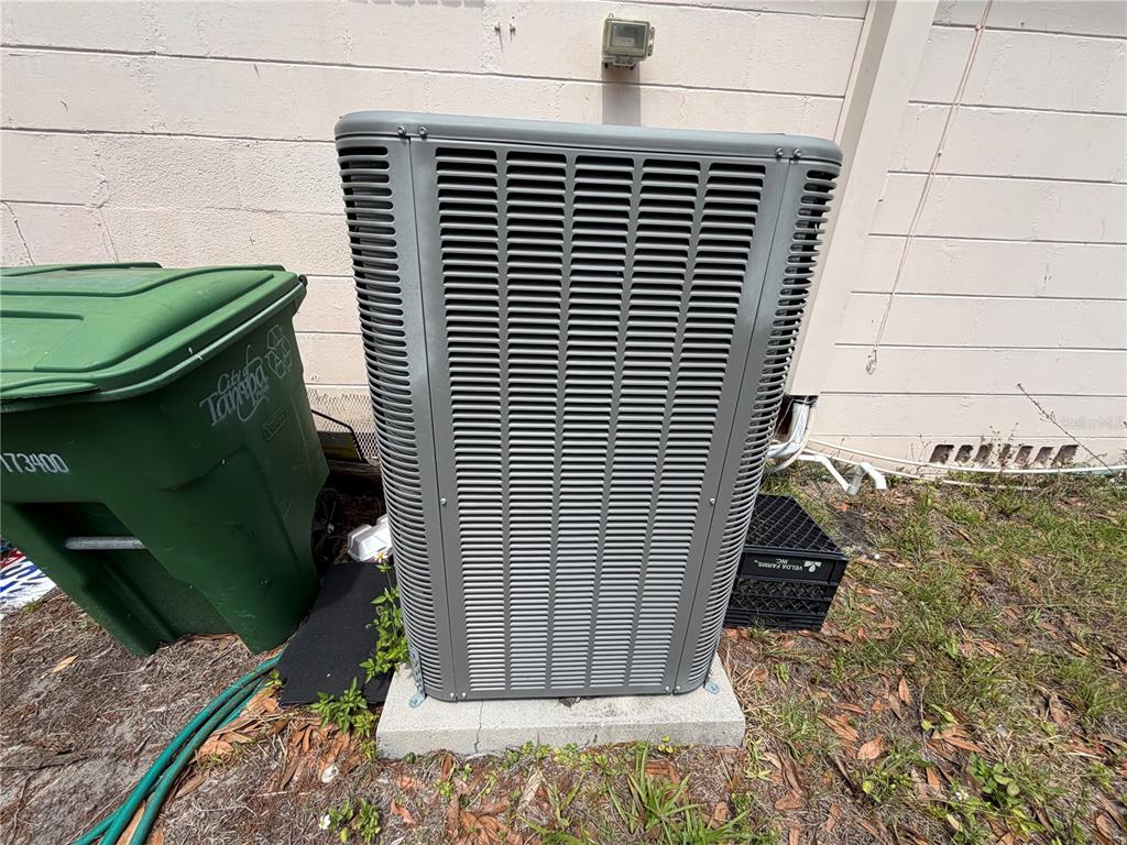 2342 West Chestnut Street Tampa, FL 33607 - Photo 12 of 19
