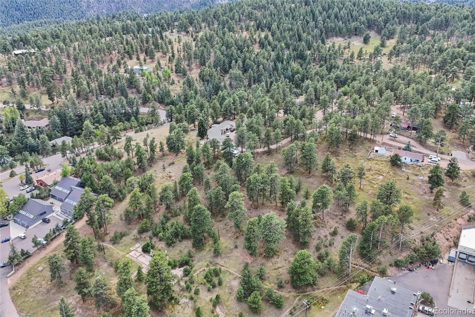 3942 Palo Verde Road Evergreen, CO 80439 - Photo 26 of 41 a view of a forest with a street