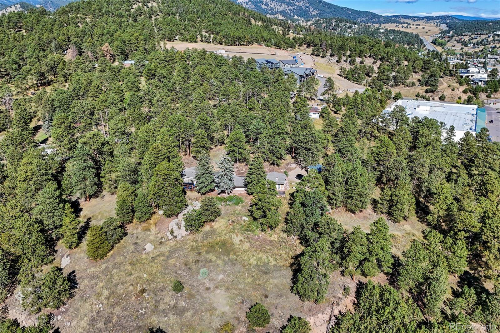 3942 Palo Verde Road Evergreen, CO 80439 - Photo 27 of 41 a view of a forest with a building