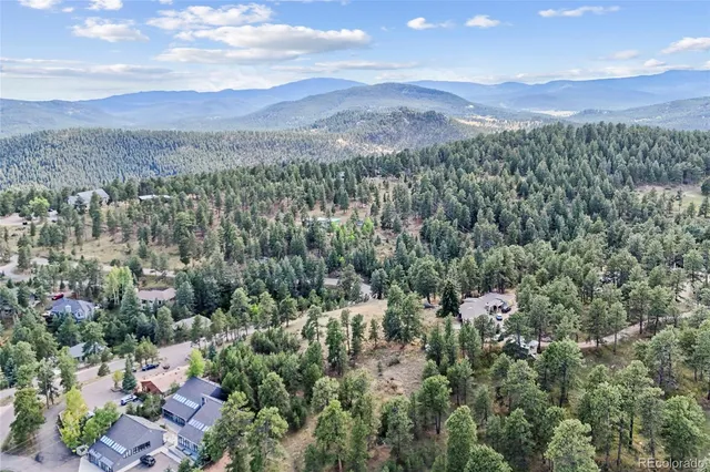 a view of a city with lush green forest