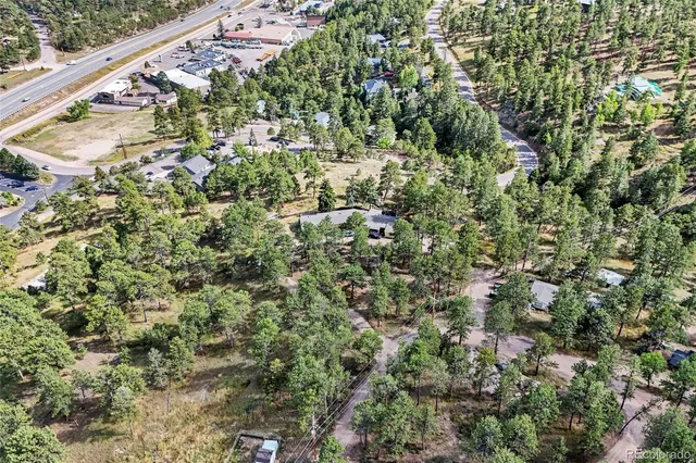 a view of a yard with plants and trees