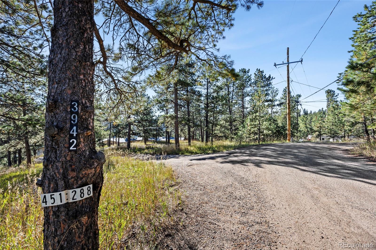 3942 Palo Verde Road Evergreen, CO 80439 - Photo 9 of 41 a view of a yard with plants and trees