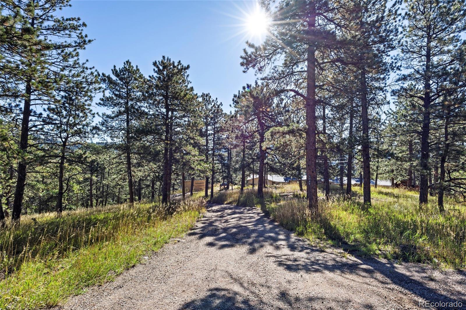 3942 Palo Verde Road Evergreen, CO 80439 - Photo 10 of 41 a view of street with with large trees