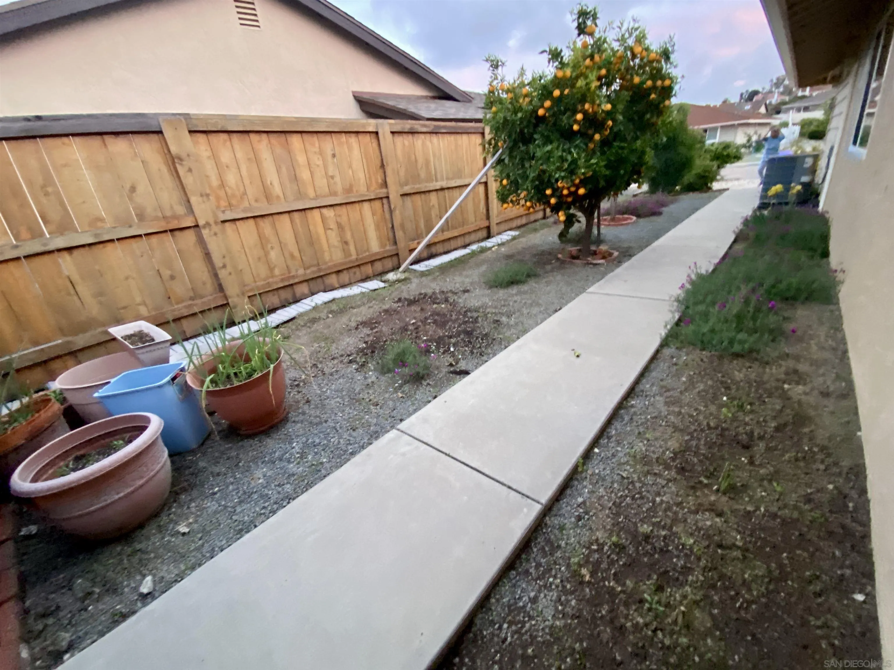 12608 Mantilla Road San Diego, CA 92128 - Photo 15 of 37 a view of a backyard with plants and a chair
