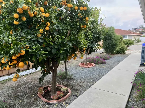 $3,890 | 12608 Mantilla Road, San Diego, CA 92128
