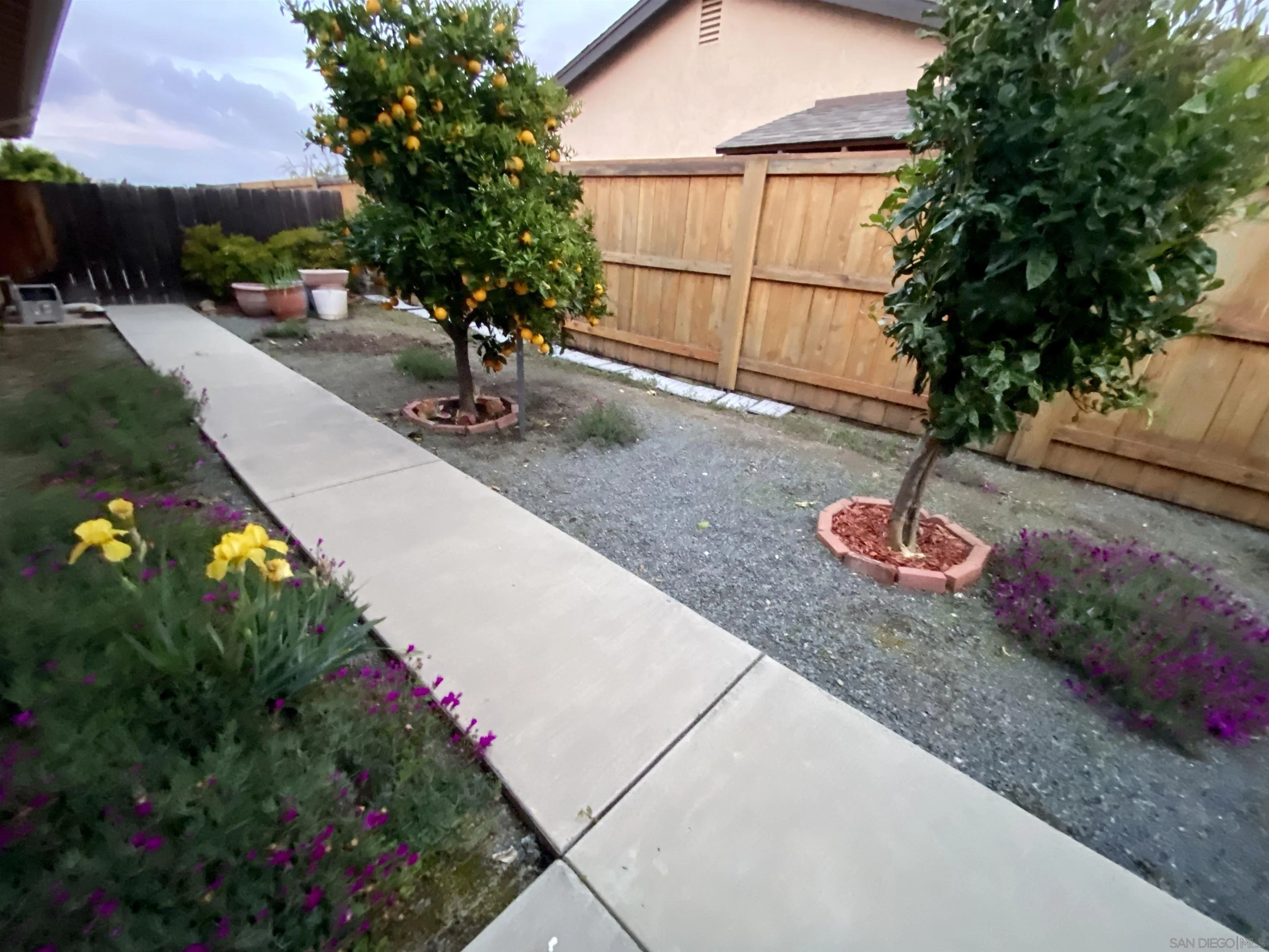 12608 Mantilla Road San Diego, CA 92128 - Photo 24 of 37 a backyard of a house with lots of green space and plants