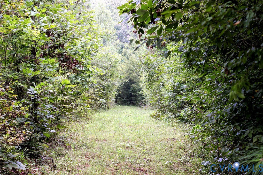 0 Greenes Corner Road Bumpass, VA 23024 - Photo 6 of 41 Gallery Image 6