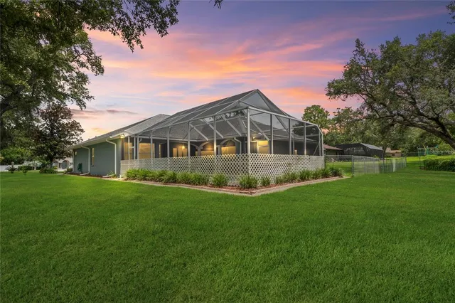 a aerial view of a house with a yard and potted plants