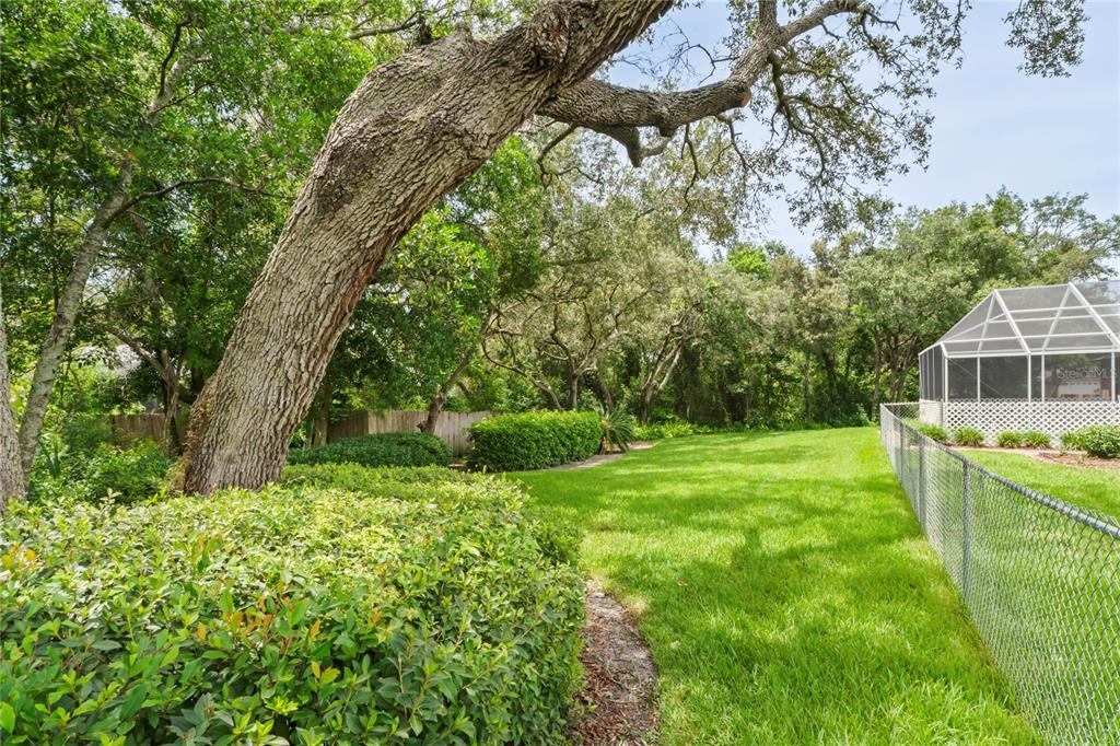 18905 Bascomb Lane Hudson, FL 34667 - Photo 59 of 81