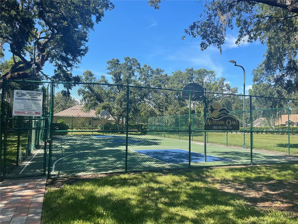 18905 Bascomb Lane Hudson, FL 34667 - Photo 77 of 81