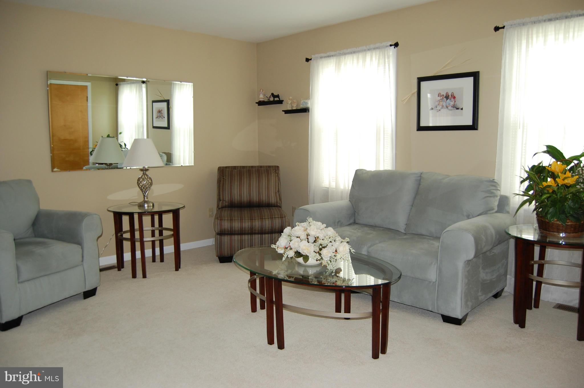 8005 Wallace Road Baltimore, MD 21222 - Photo 8 of 18 a living room with furniture and a potted plant