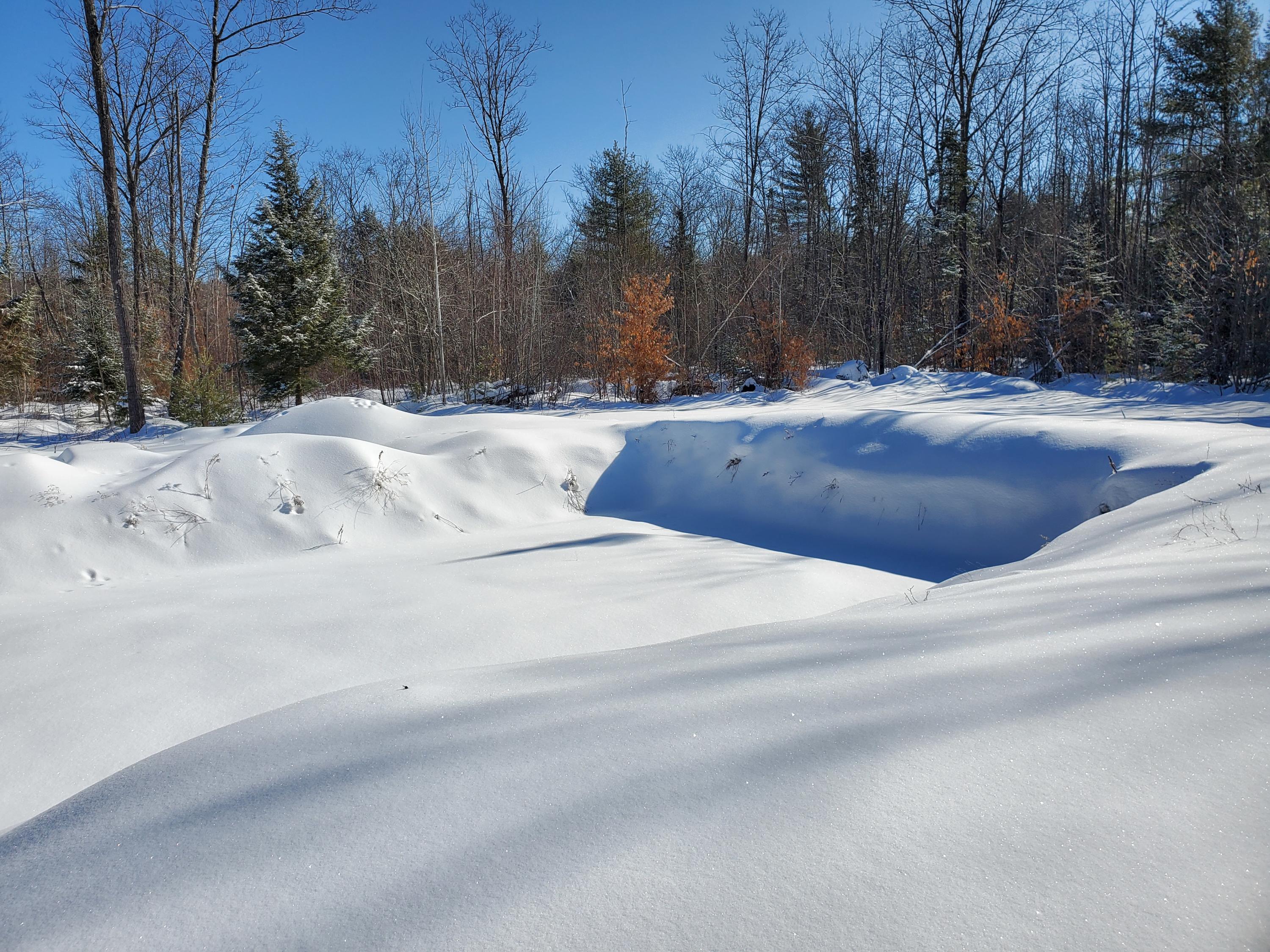 M4-l61-1 Intervale Road New Sharon, ME 04955 - Photo 9 of 38 TBD Intervale Rd