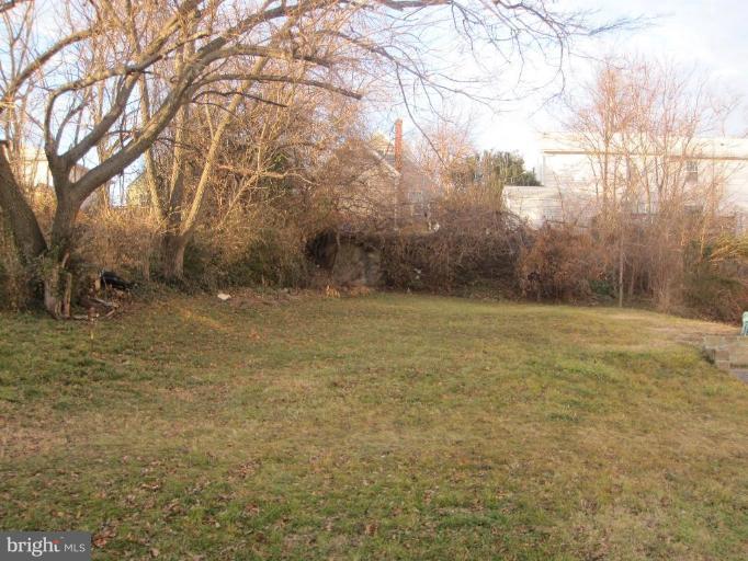 2707 24th Road South Arlington, VA 22206 - Photo 17 of 24 Back yard