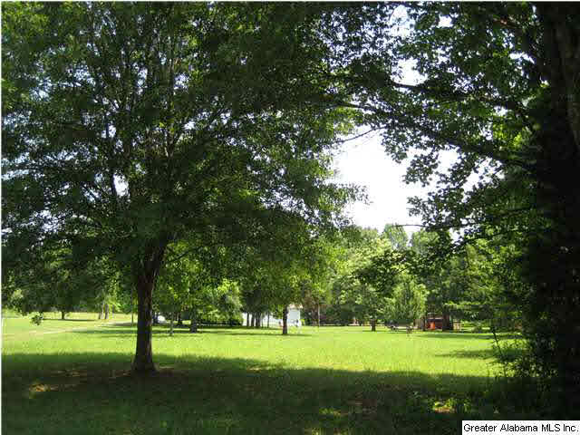 420 Happy Hollow Road Odenville, AL 35120 - Photo 8 of 23