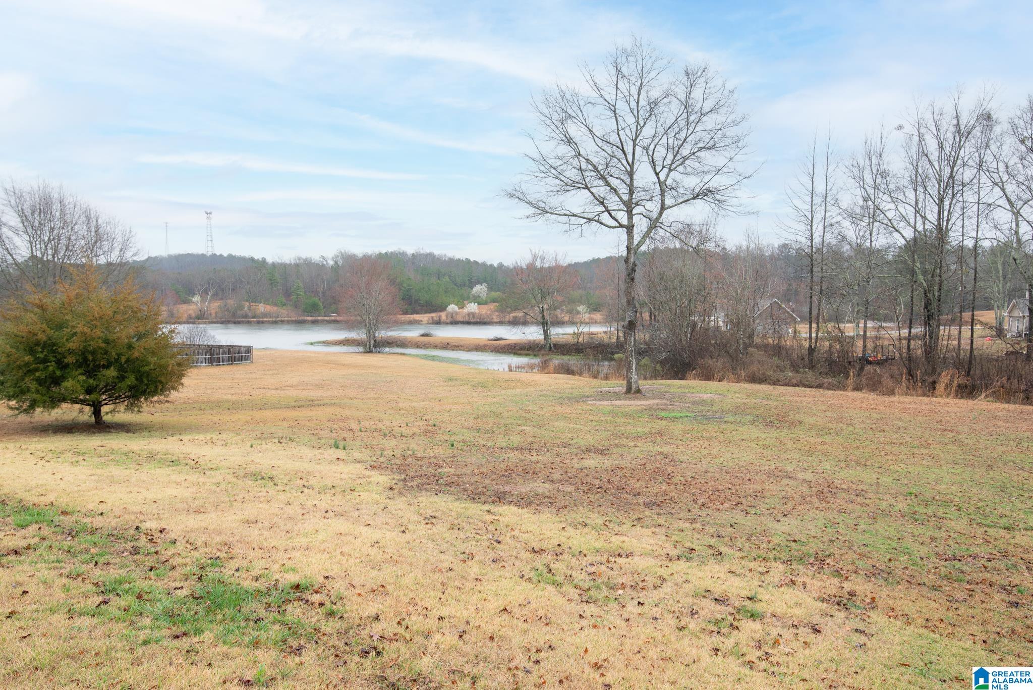20719 Waters View McCalla, AL 35111 - Photo 50 of 56
