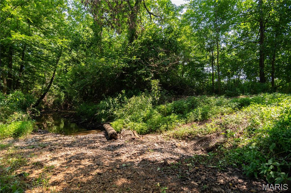 1280 Ripley Route North Doniphan, MO 63935 - Photo 57 of 67