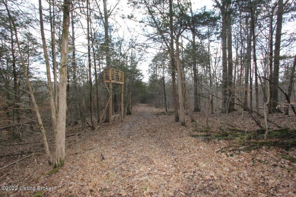 2001 Ashby Road Lawrenceburg, KY 40342 - Photo 8 of 17 IMG_4024 (Medium)