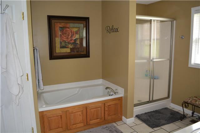 7728 Greenwood Road Cross Plains, TN 37049 - Photo 13 of 20 Master Bath