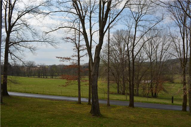 7728 Greenwood Road Cross Plains, TN 37049 - Photo 14 of 20 Countryside view from 45 ft wide front porch