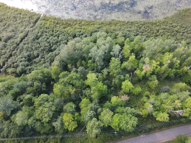 $114,900 | Thelen Rd Mountain, Unit 1, Mountain, WI 54149