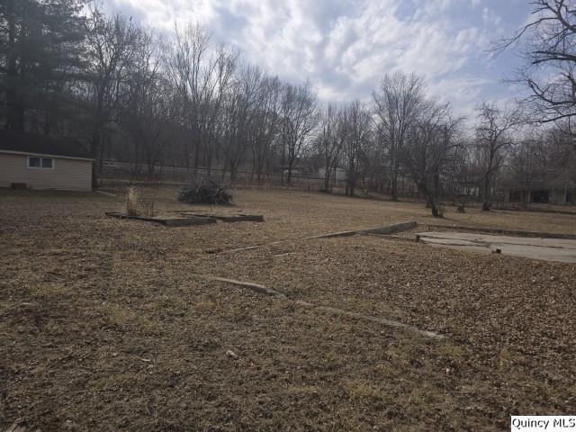 670 East First Street Dallas City, IL 62330 - Photo 24 of 27