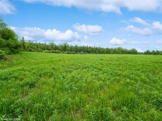 a view of a lush green outdoor space with a swimming pool and valleys in the background