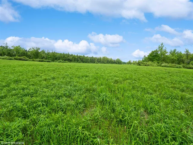 a view of a city with lush green forest