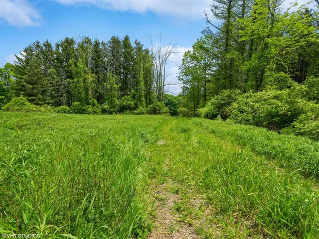 a view of a lush green space
