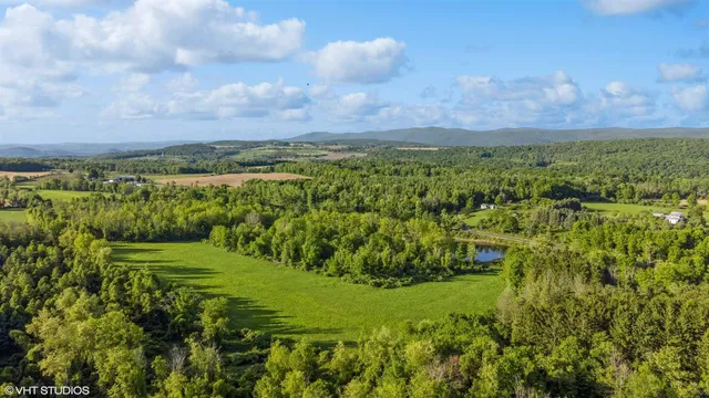 a view of a lush green forest with a lake