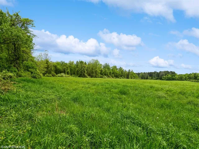 a view of an outdoor space and yard