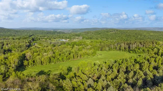 a view of a yard with an trees