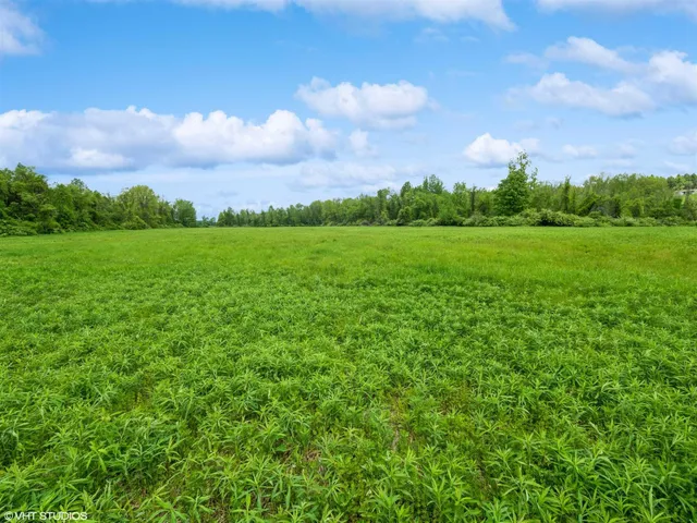 a view of a green field with lots of green space