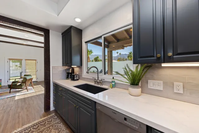 a kitchen with sink and potted plant